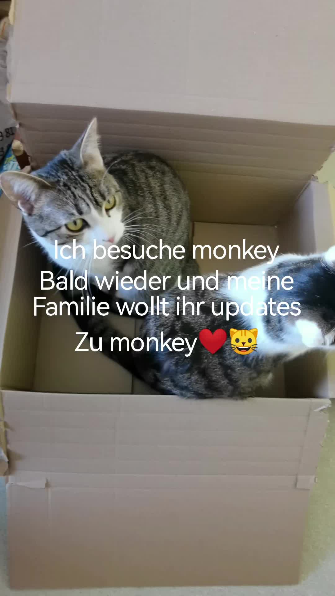 @juli🇩🇪🇺🇸🇷🇺