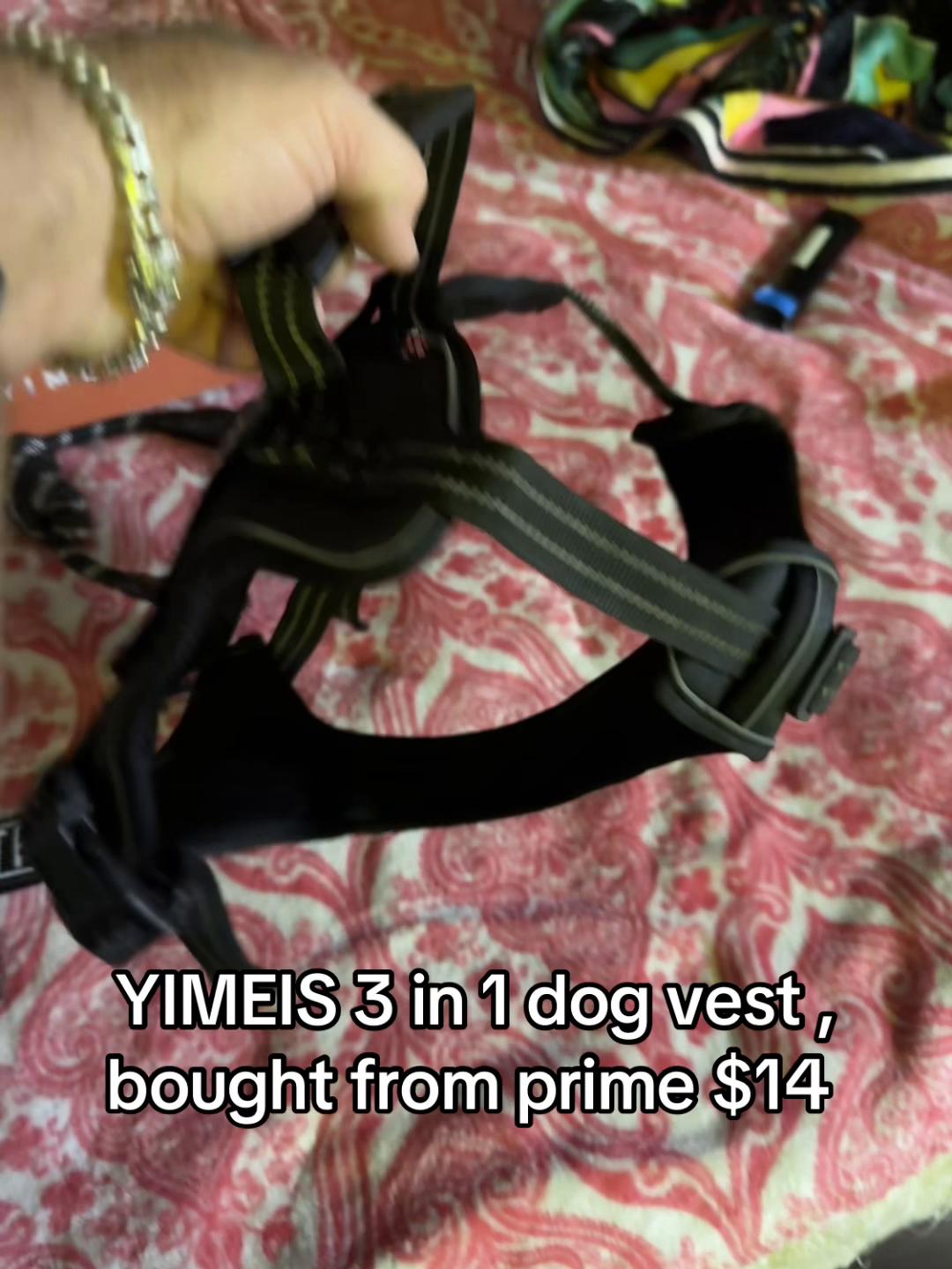 @Blond Wolf novelties