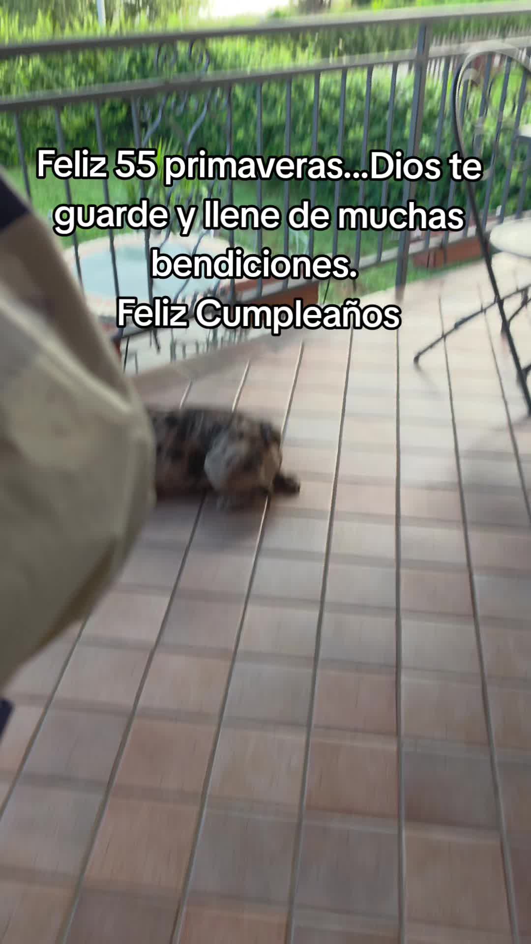 @martita