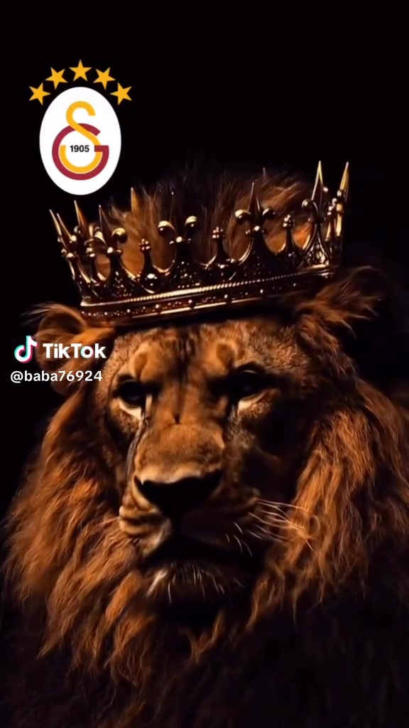 @LIONKING  🦁&hearts;️💛