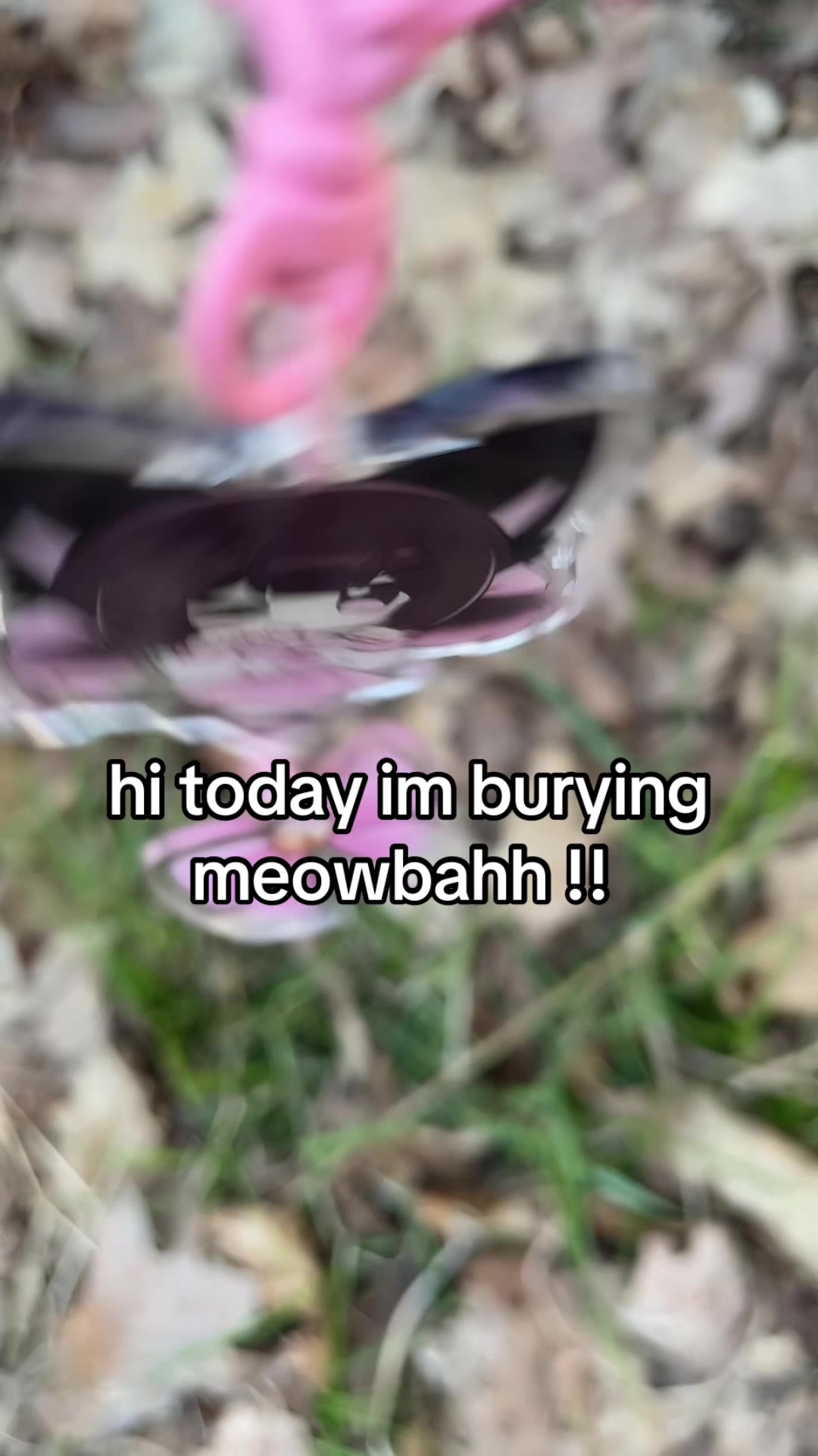@kawaiicat_girl🎀🪽