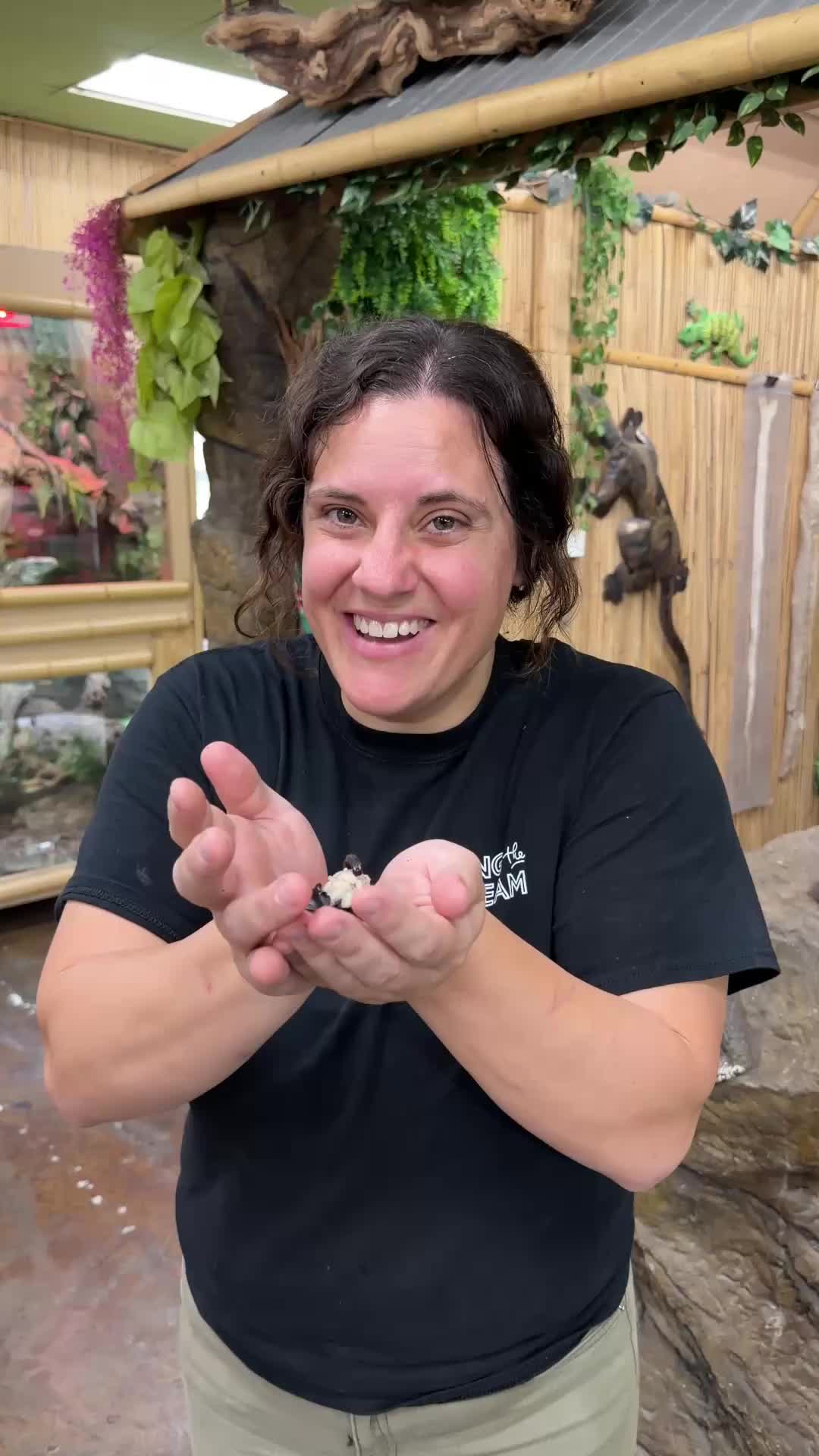 @The Reptile Zoo
