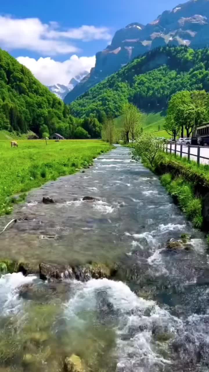 @Elwazir