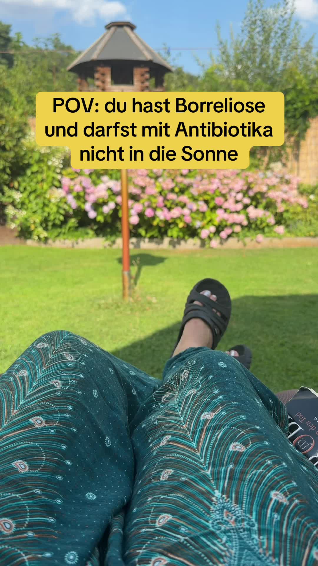 @INSAbenteuerHund