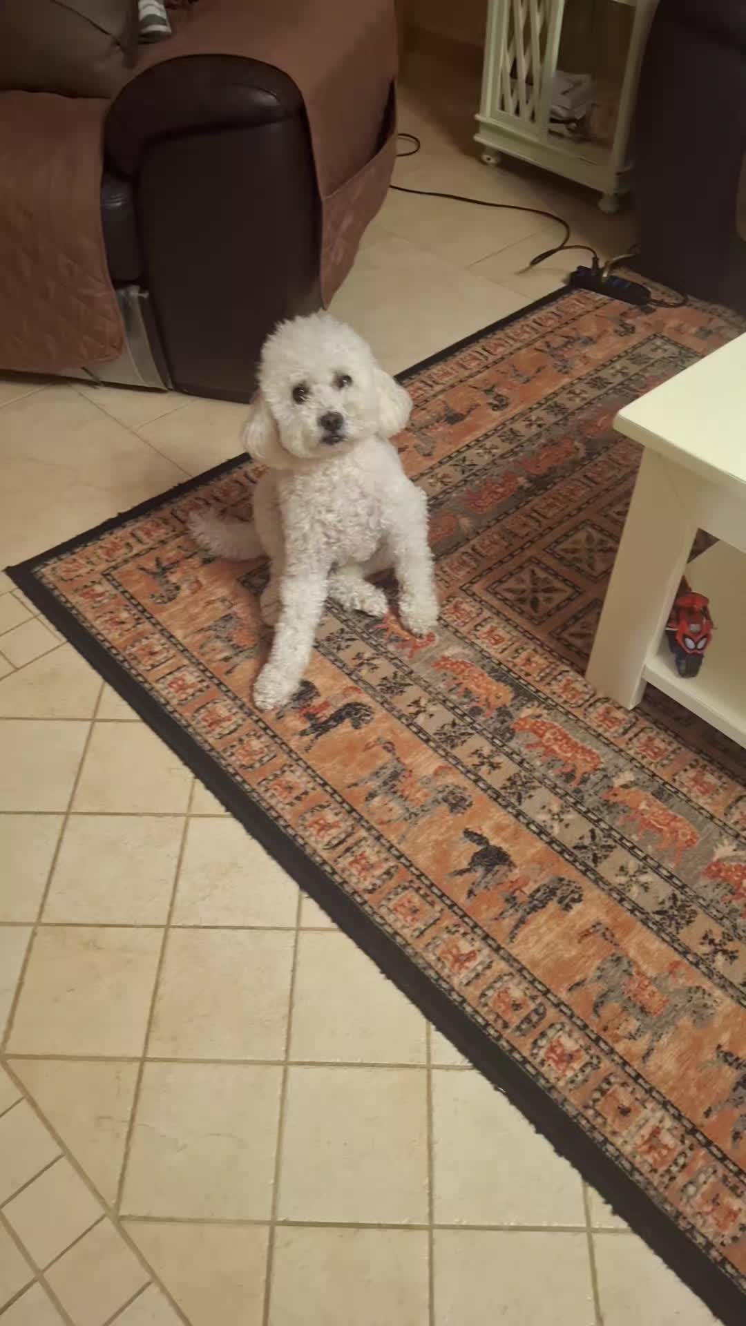 @gessicavallelonga4