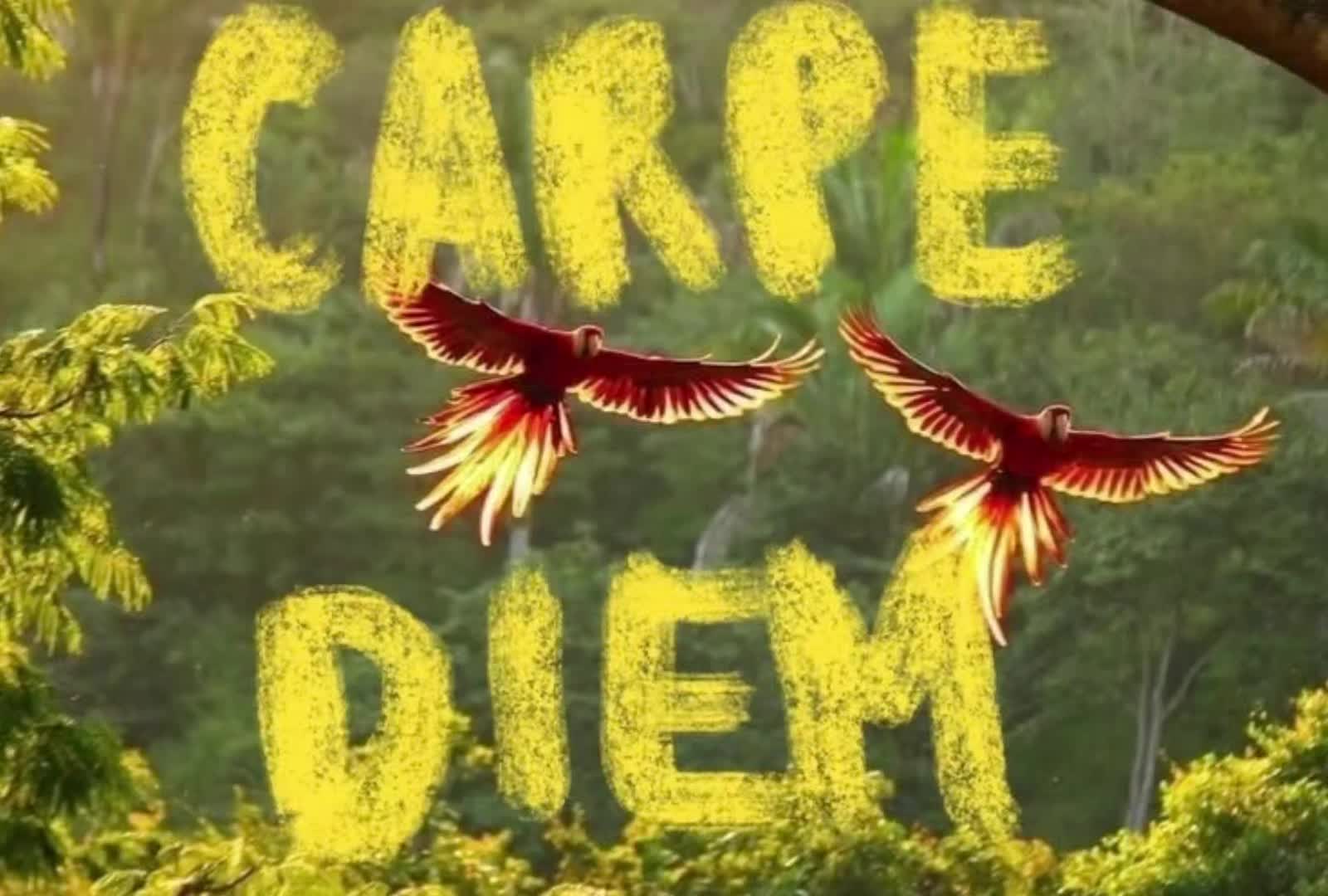 @Repost
