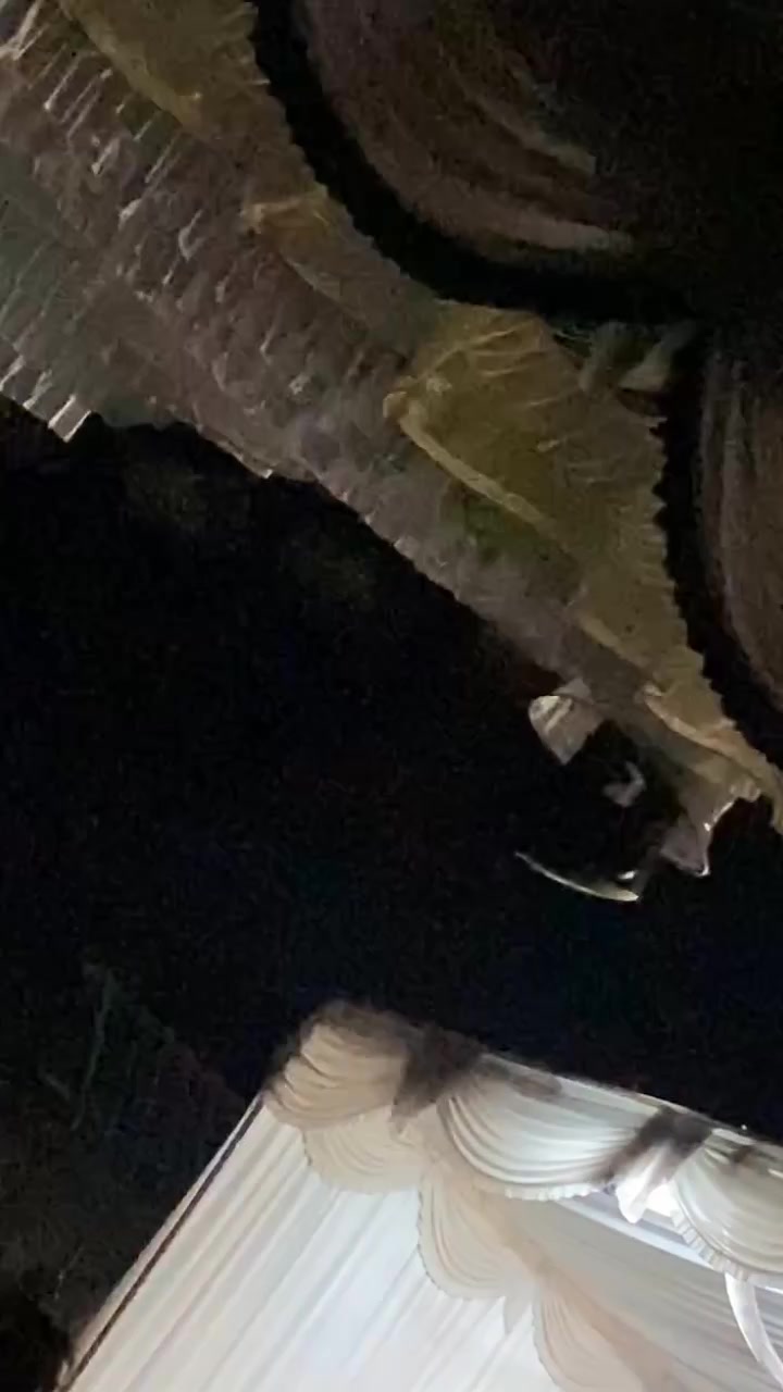 @𝙑𝘼𝙇𝘿𝙊 𝙂𝙉𝙍🔥