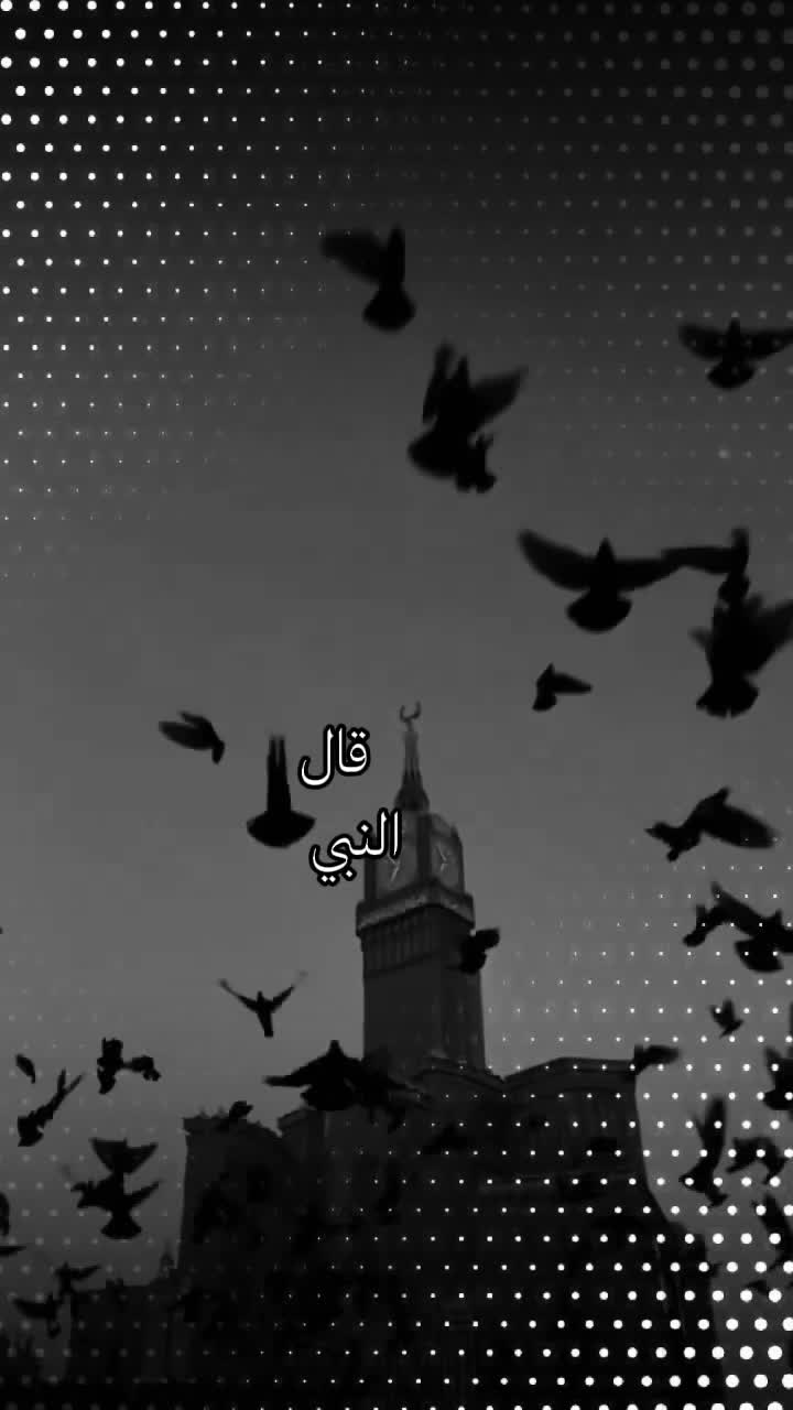@↡͢دولار🐊تـ؏◈⃪͚͢ـ⃪ـــز𝐓𝐚𝐢𝐳