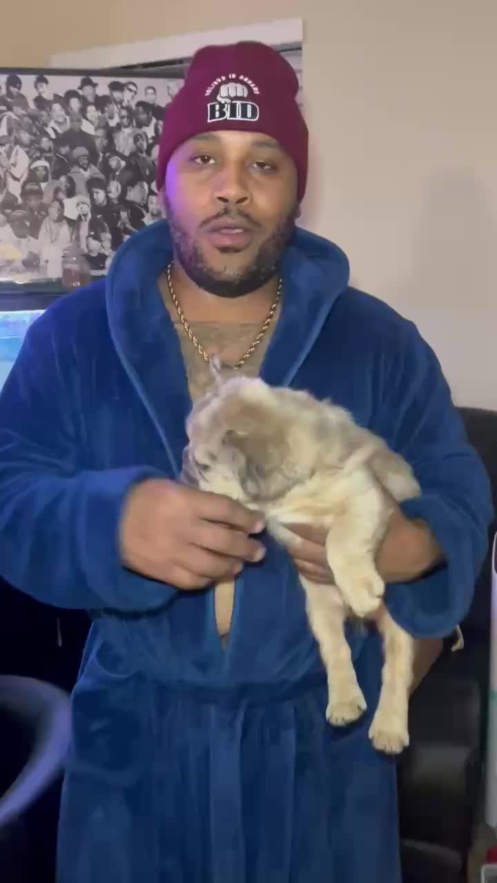 @Kane4L