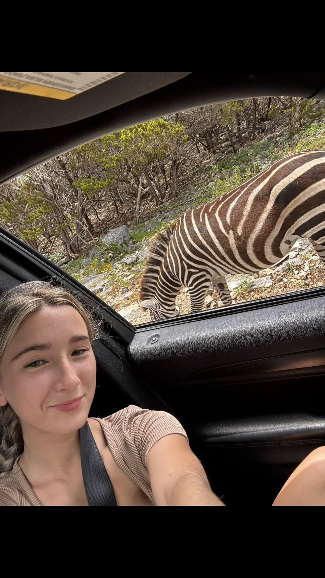 @liv