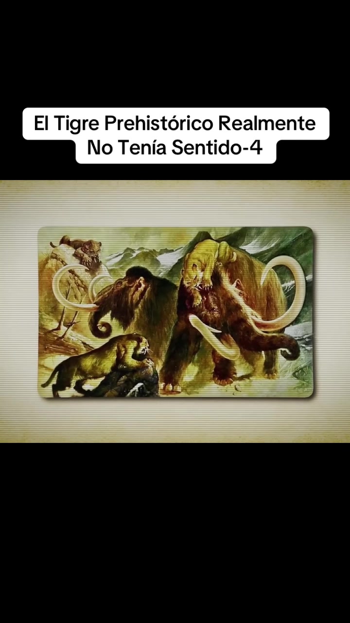 @user4076628818079