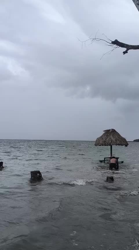 @Escorpión
