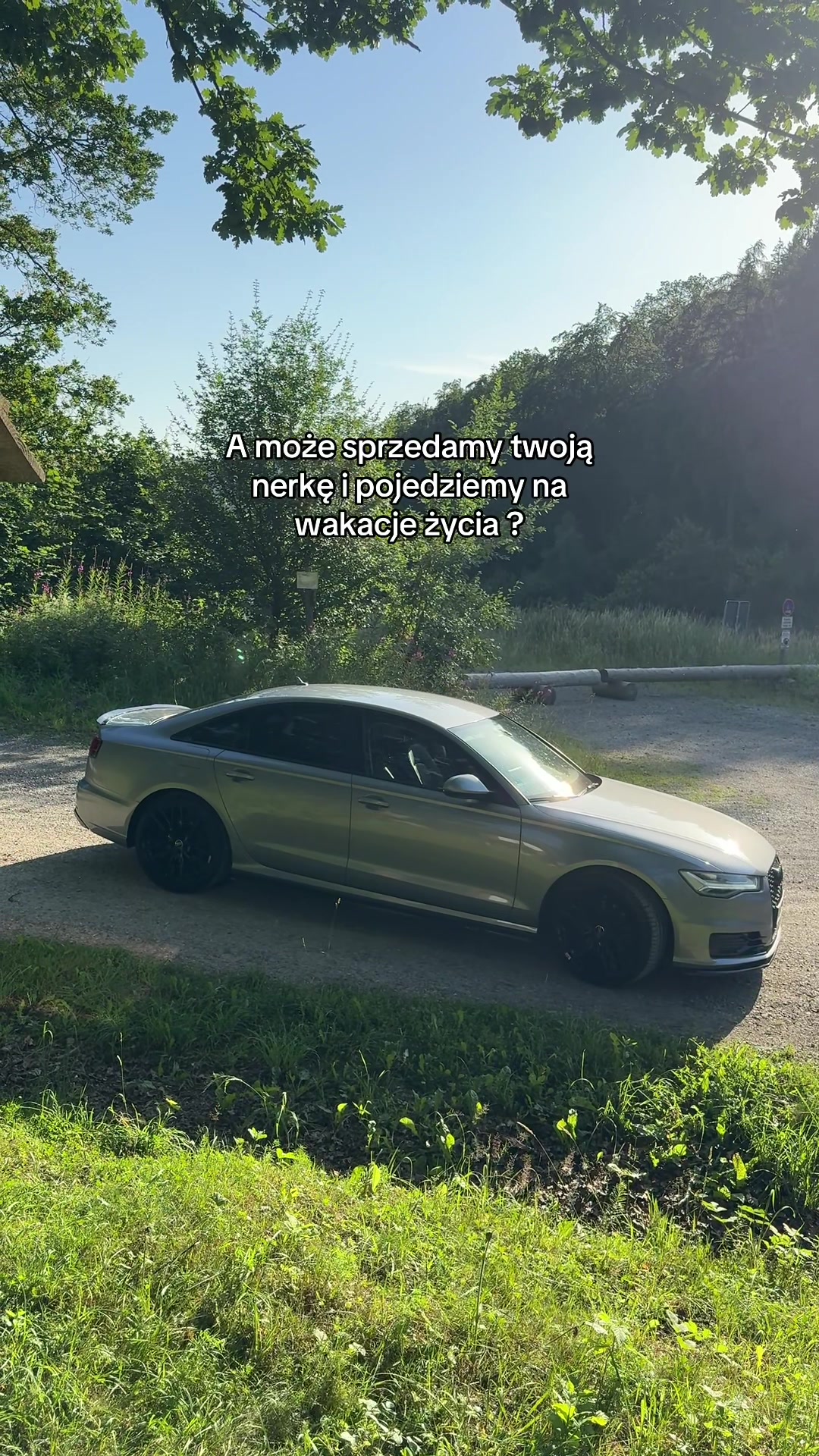 @Nori_C7