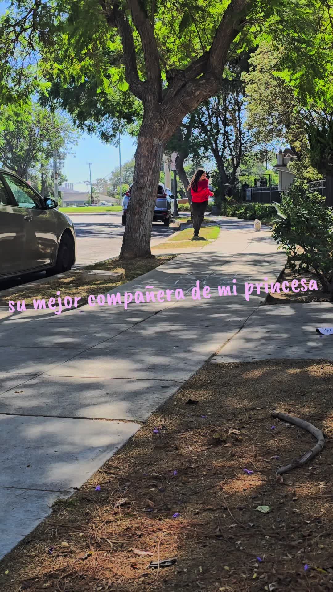 @medinaivania🥰