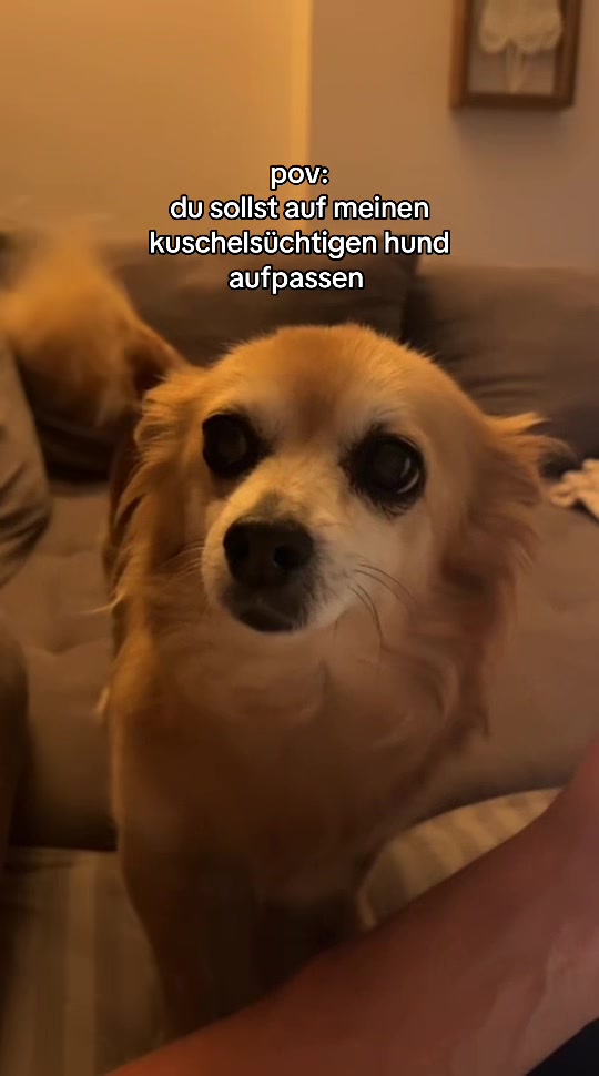 @lilly 🇵🇱🇩🇪