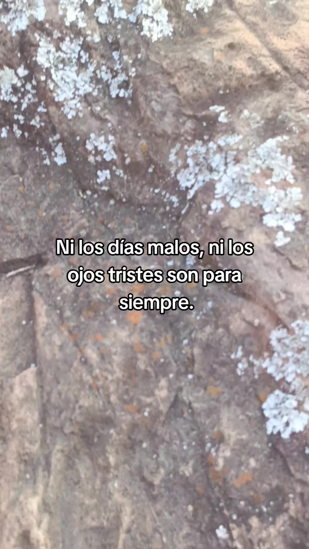 @️Satiel🧢