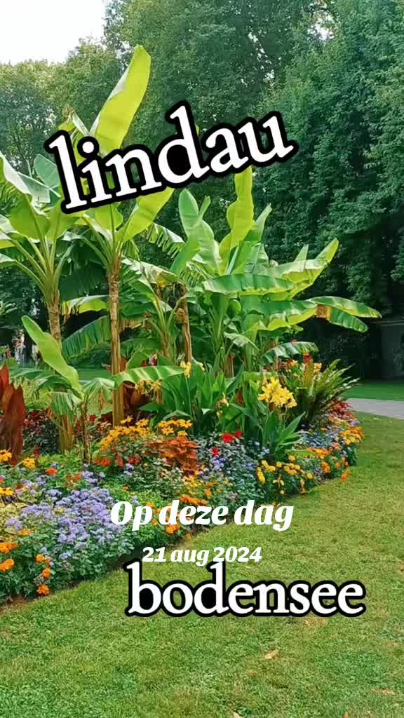 @sonja