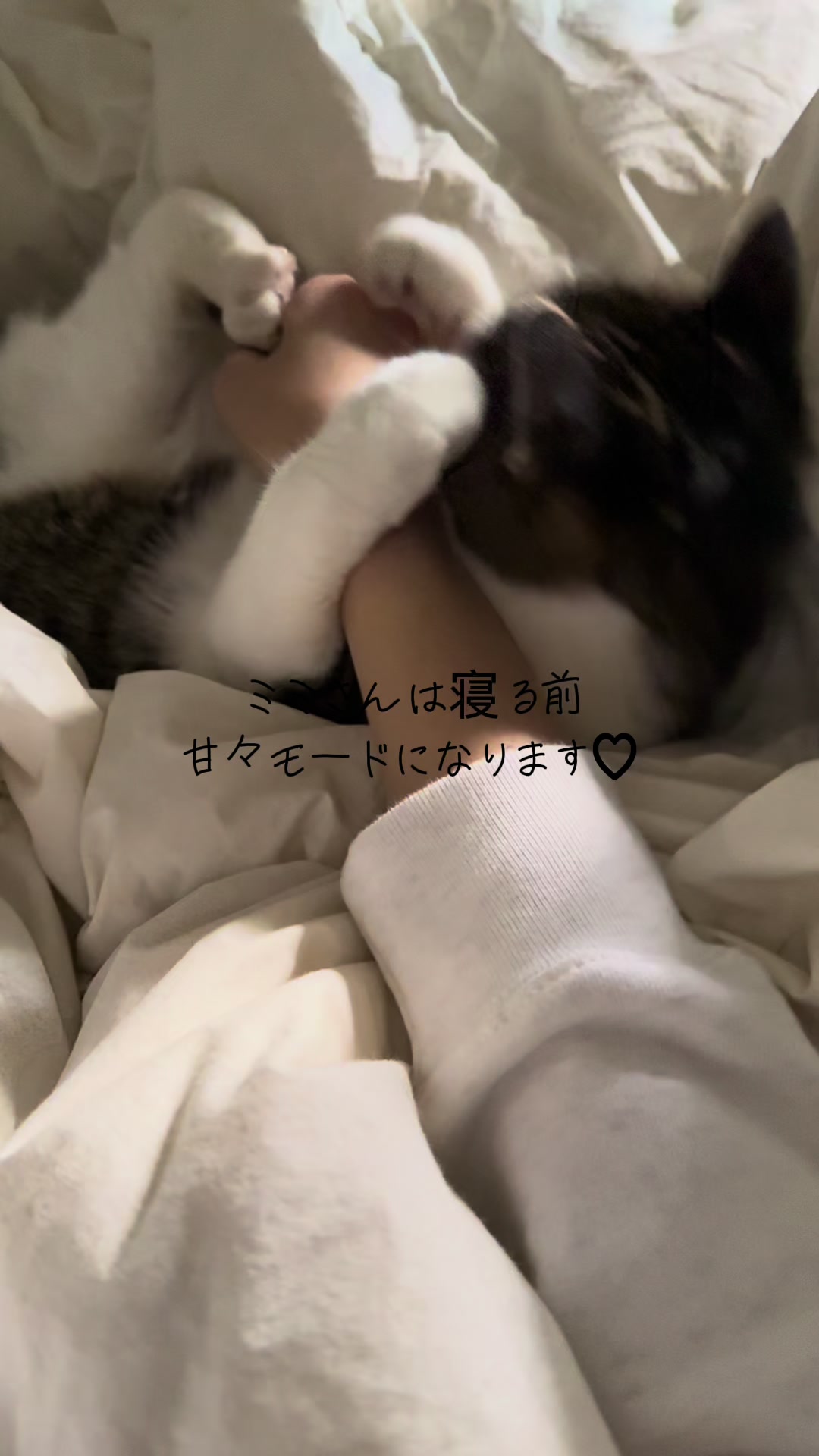 @MimitheNapcat