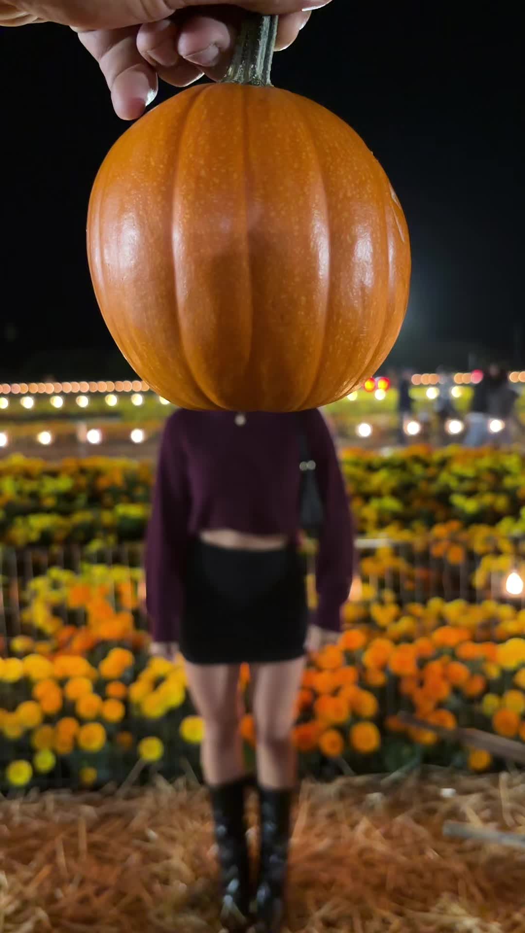 @imaya