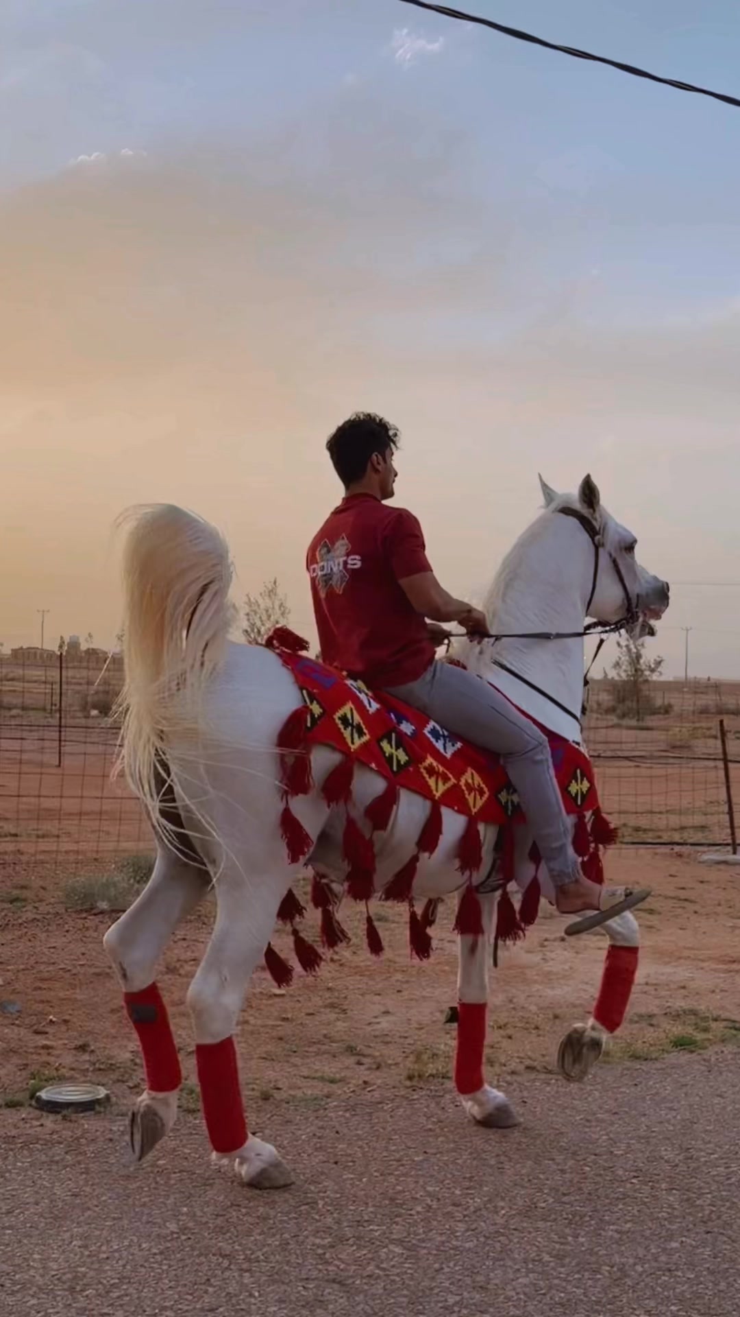 @عامر الشمري🐎
