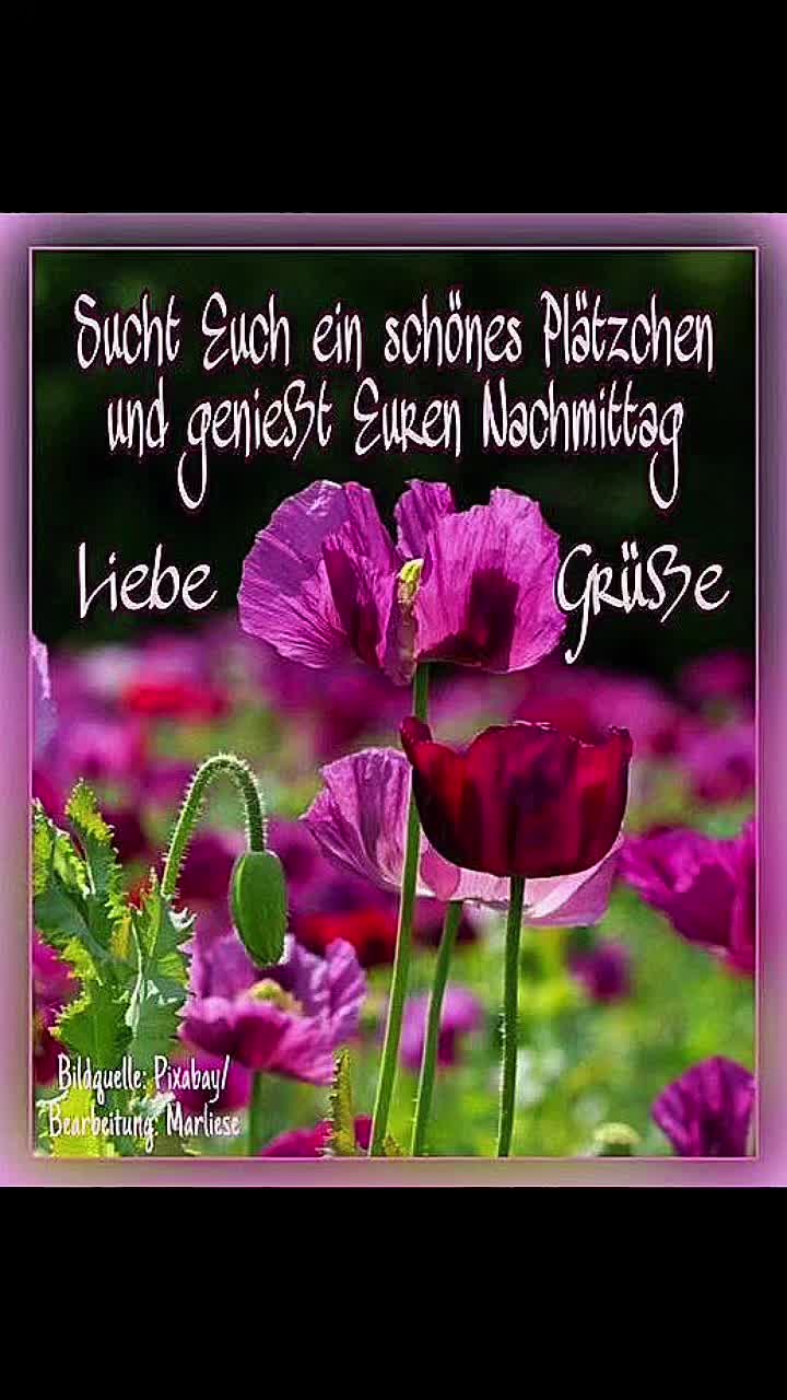 @Schnuffi