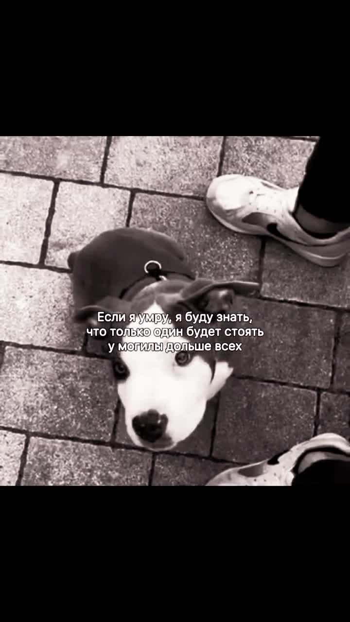 @Maksi