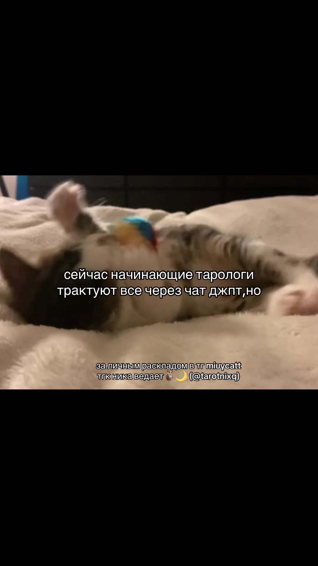 @ника ведает 🕯️