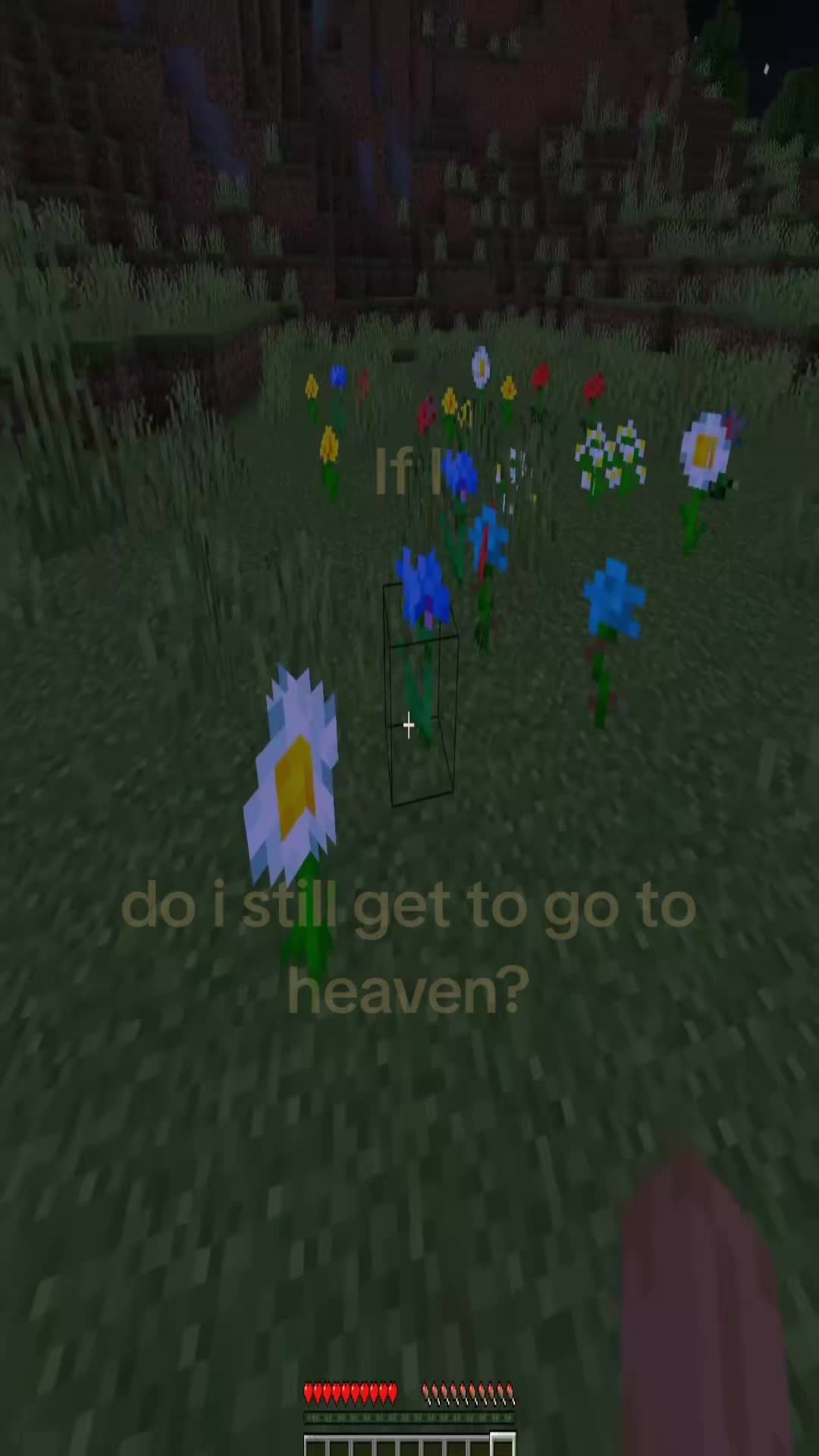 @♒︎