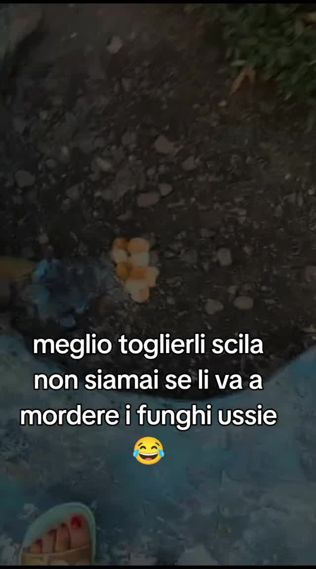 @misteriosa