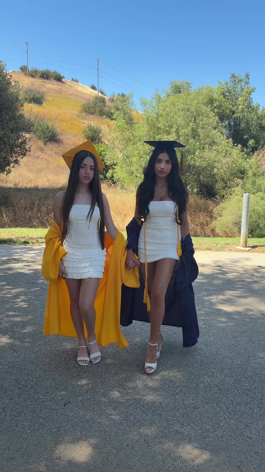 @lexi