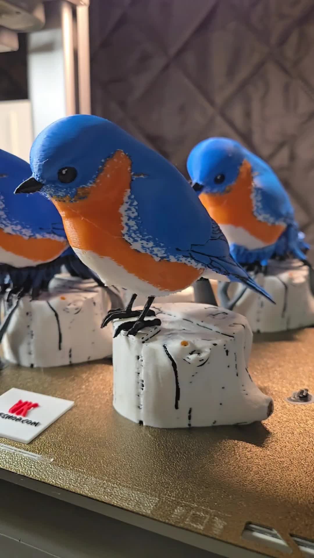 @MrWizzzzard