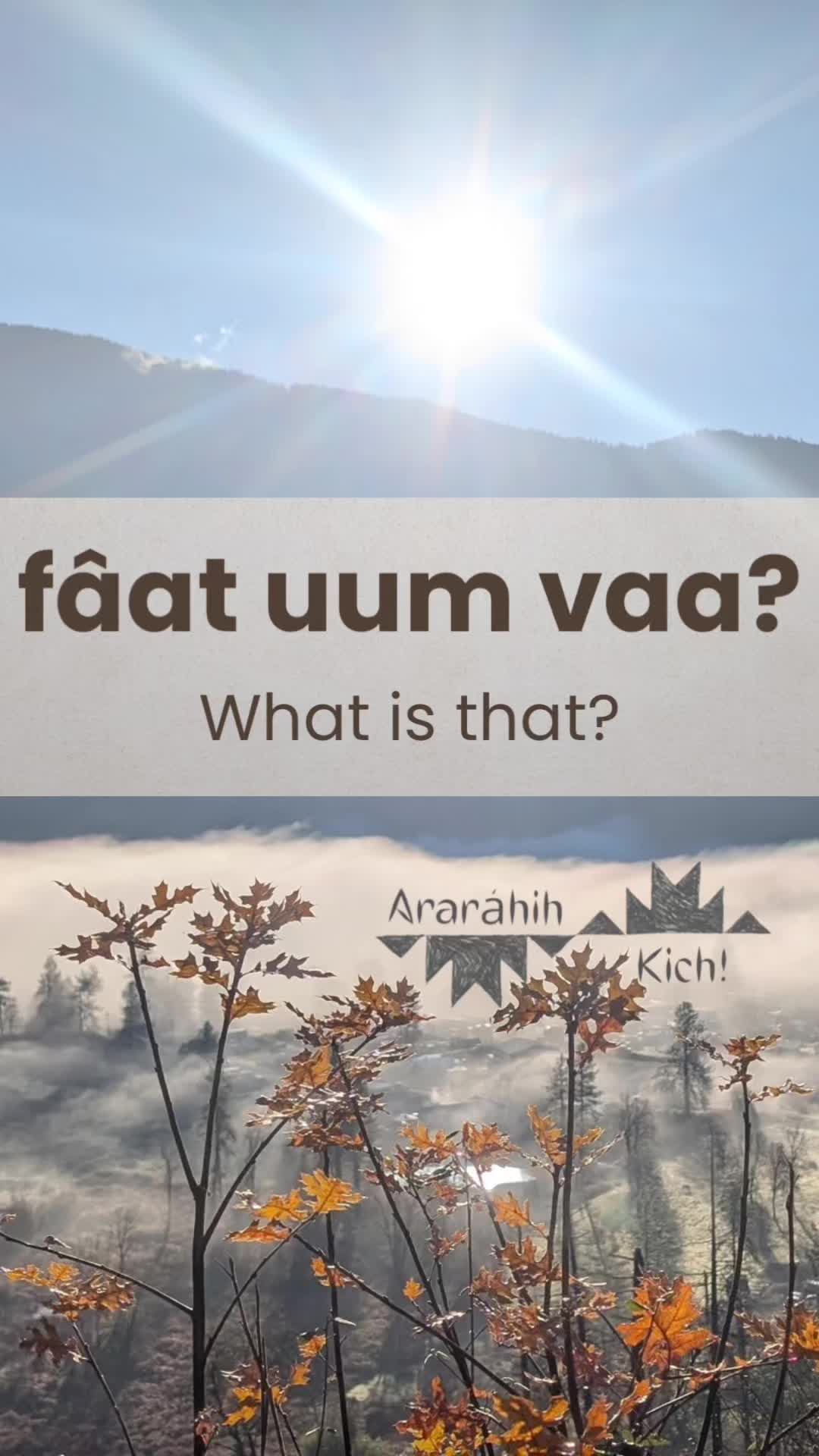 @Araráhih Kich