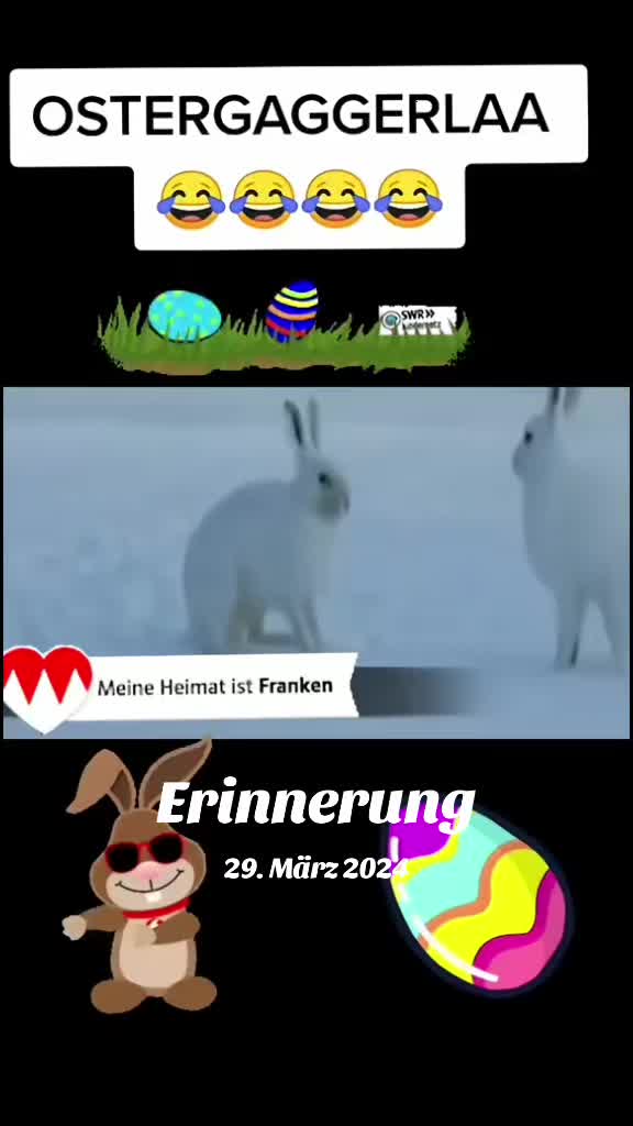 @🐗Fr&auml;nkischer-Rampen- Eber🐗