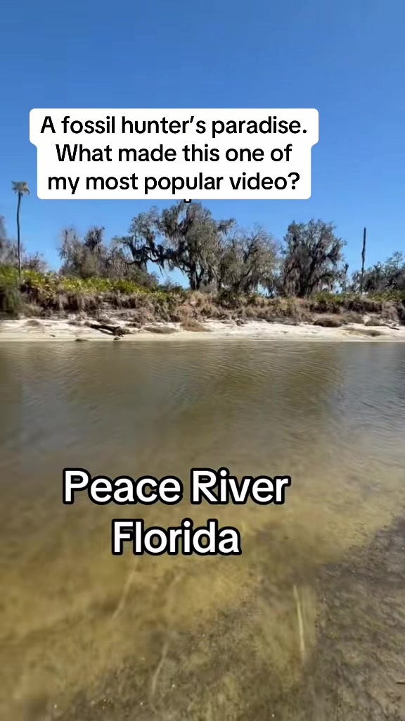 @Florida Land Guy