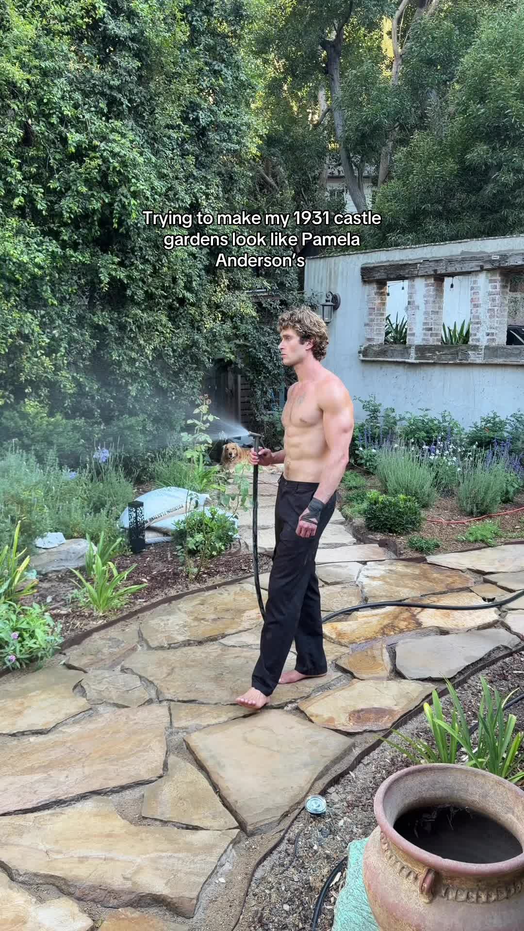 @Teva