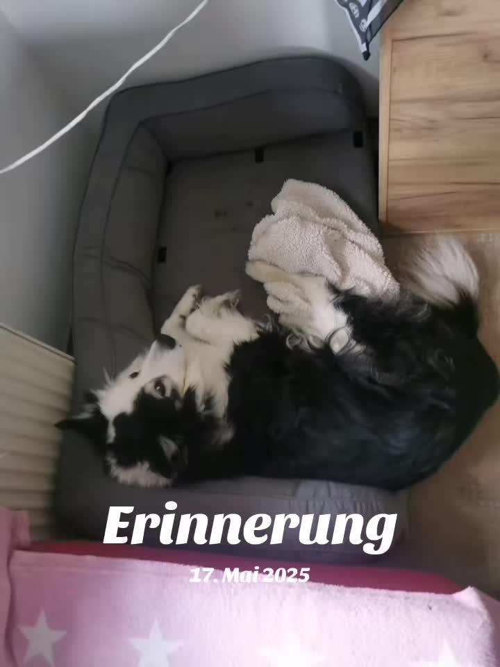 @Zahnfee