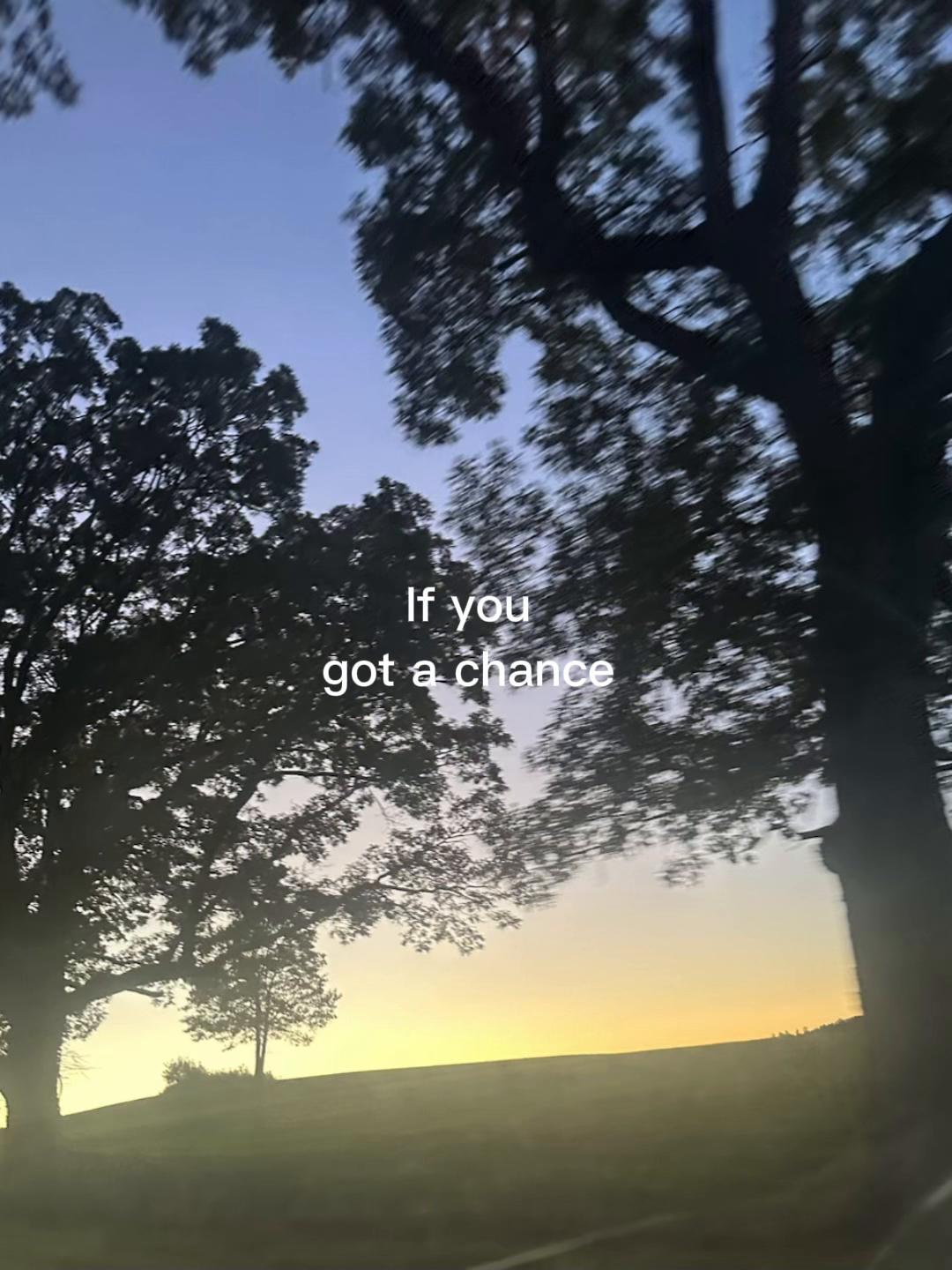 @Quotes.Memes.Queen