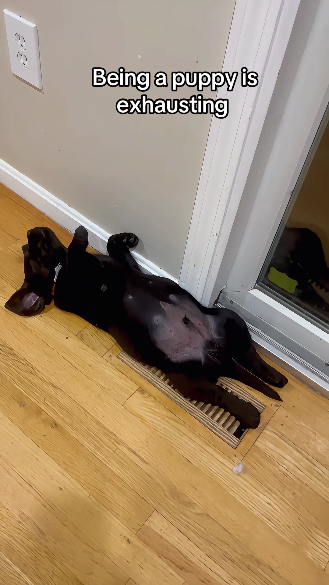 @DennisTheBlackLab