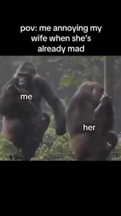 @Tommy Smalls II