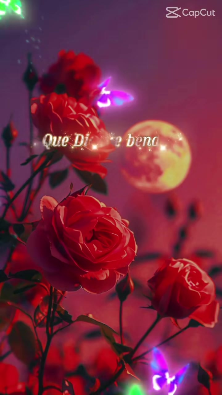@Dolores Chandilla