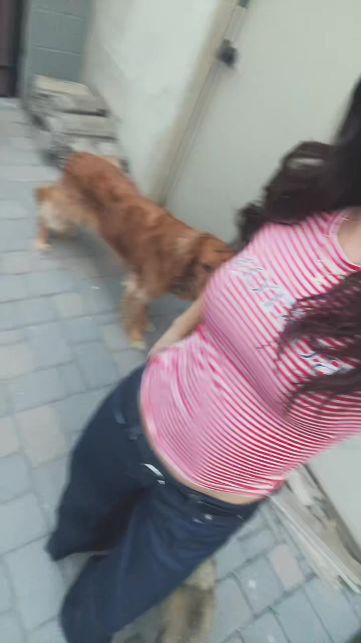 @aylaspam😏