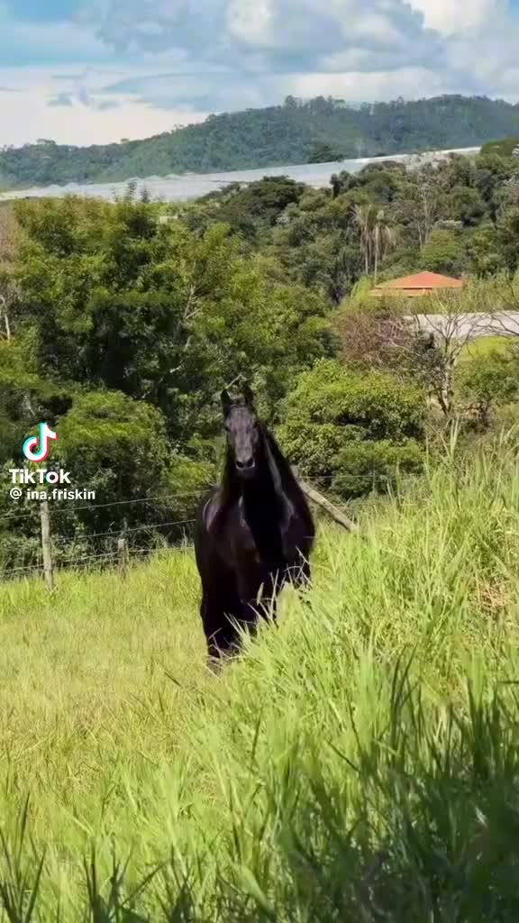 @blancapavon575