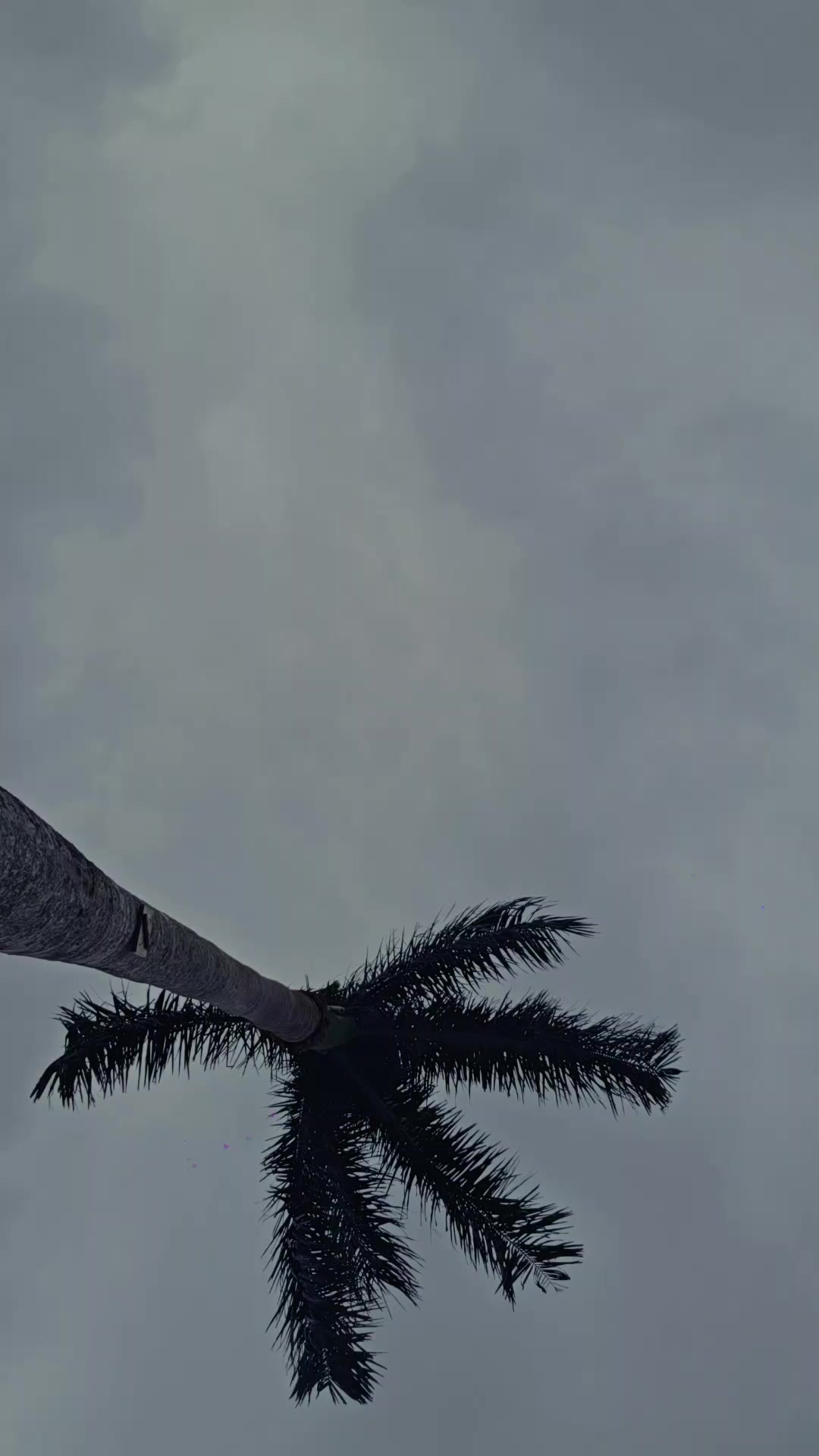 @ťìź_fĵɓřò_✔️
