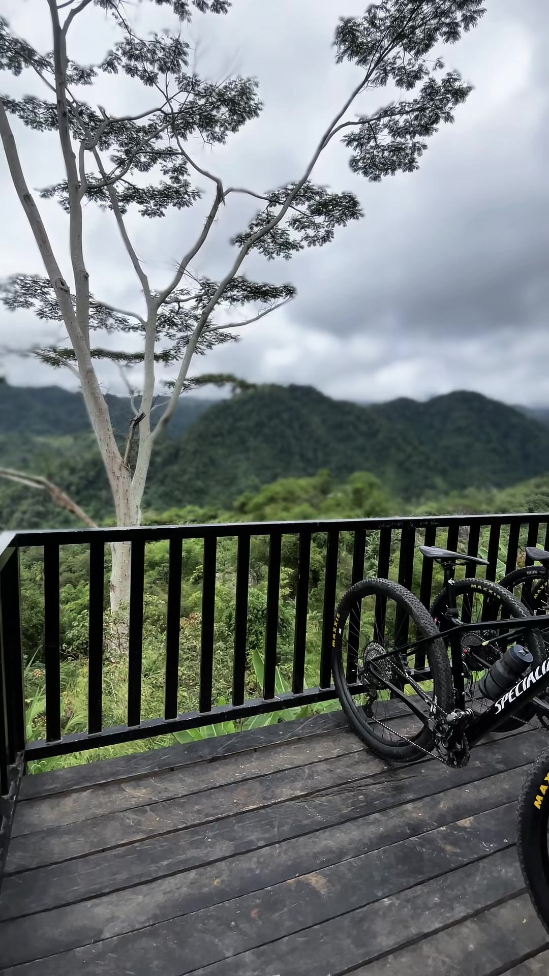 @butchok🧿