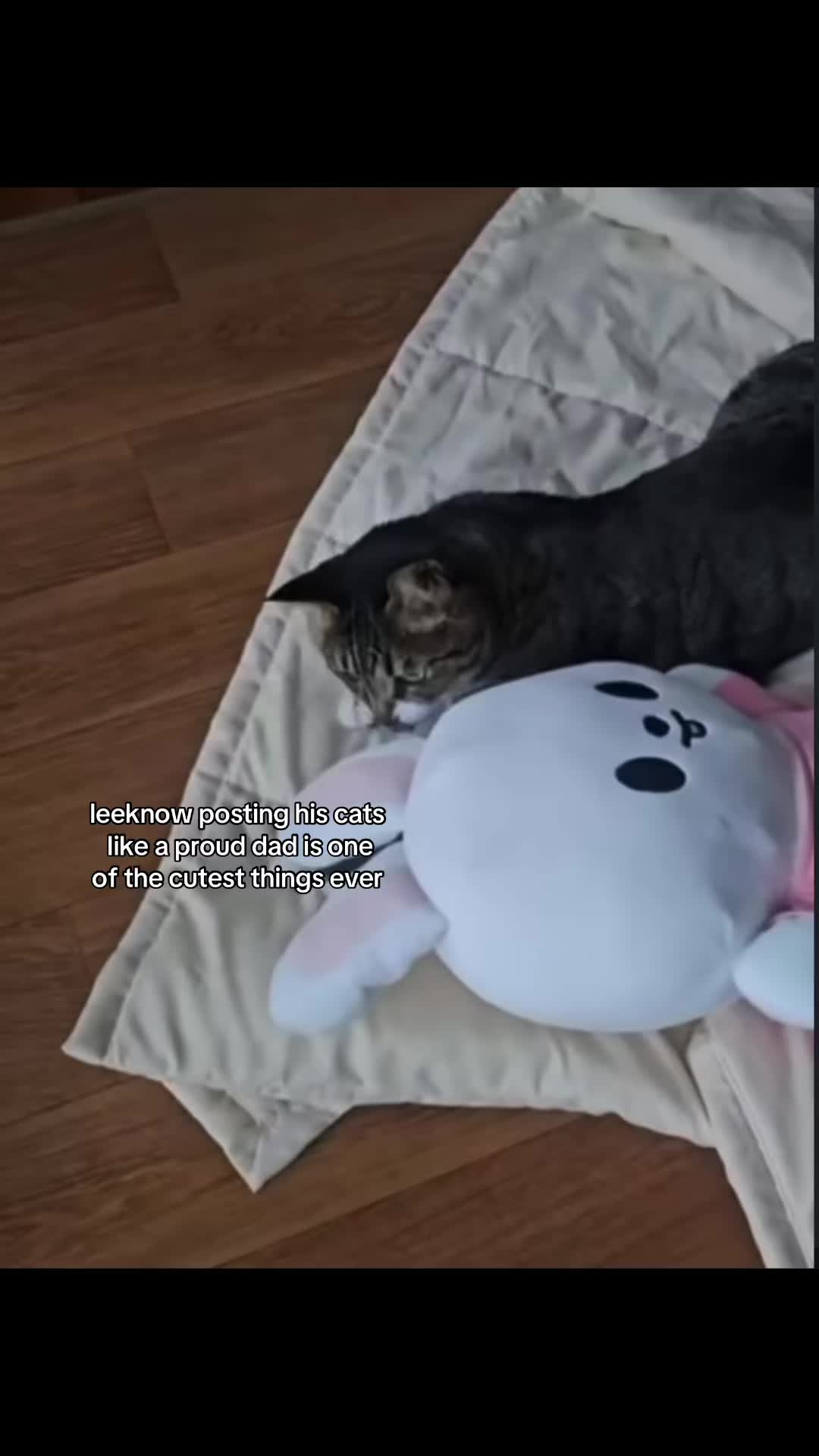 @meow (๑ᵔ⤙ᵔ๑) ⁸ | saw BTS 4/28!