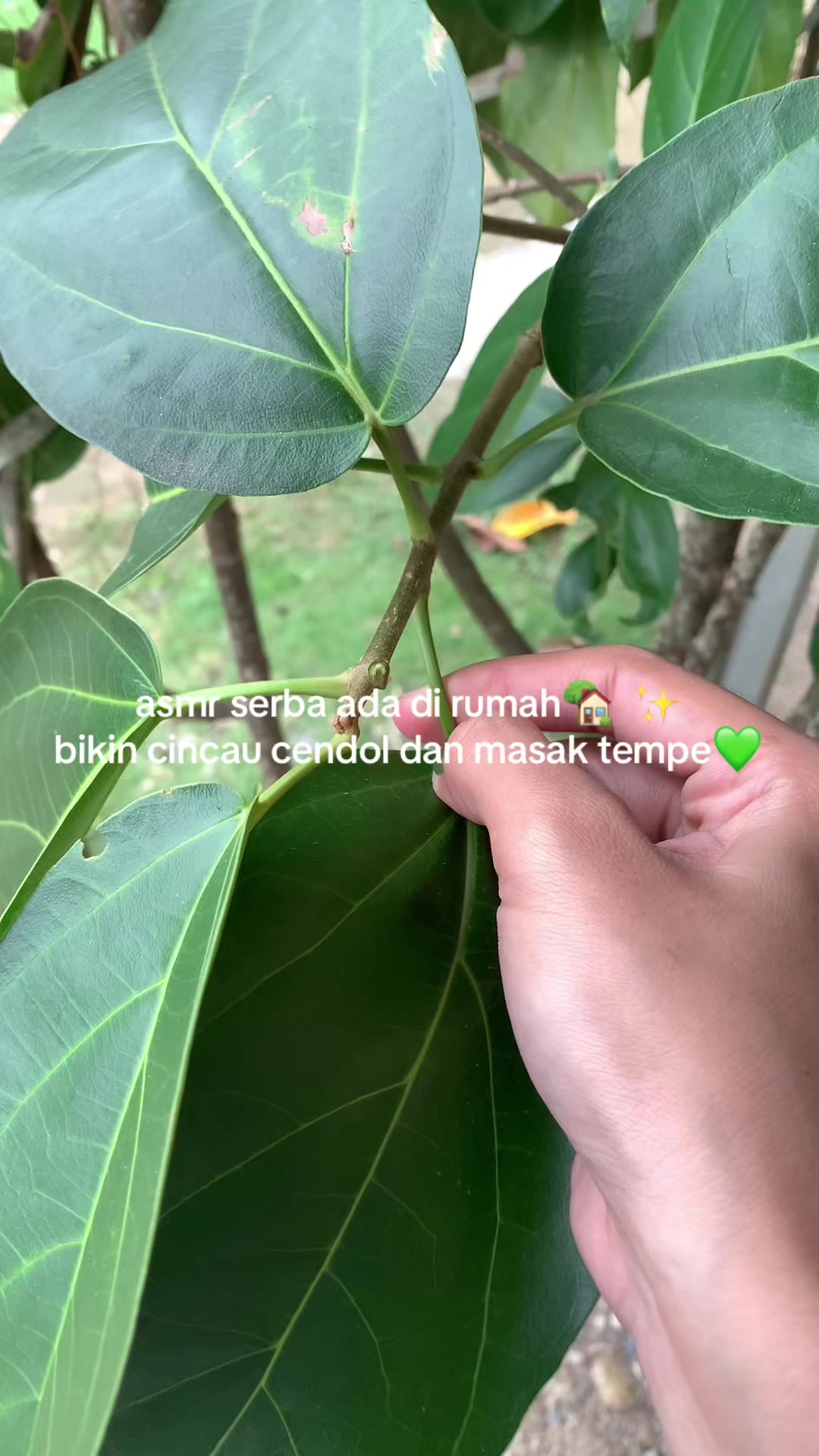 @masakk.yukk
