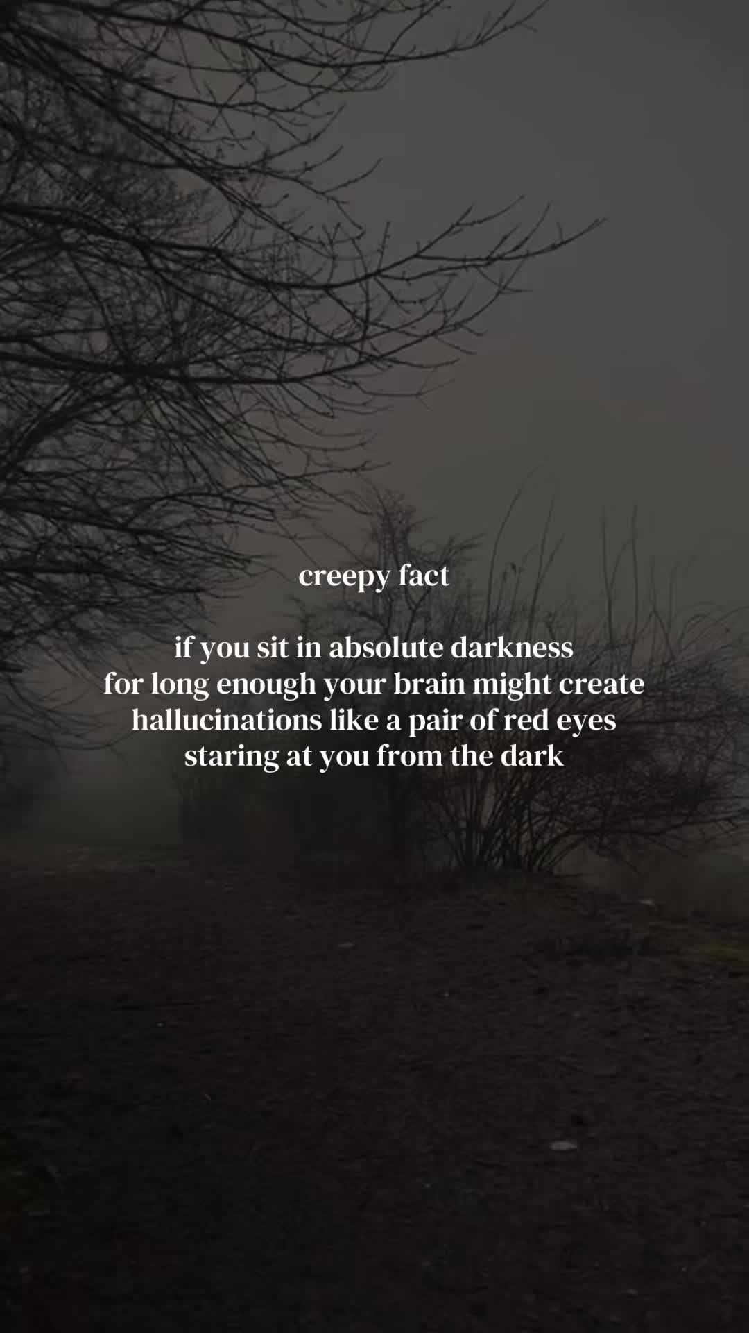 @𝔠𝔬𝔠𝔬 𝔯𝔬𝔞