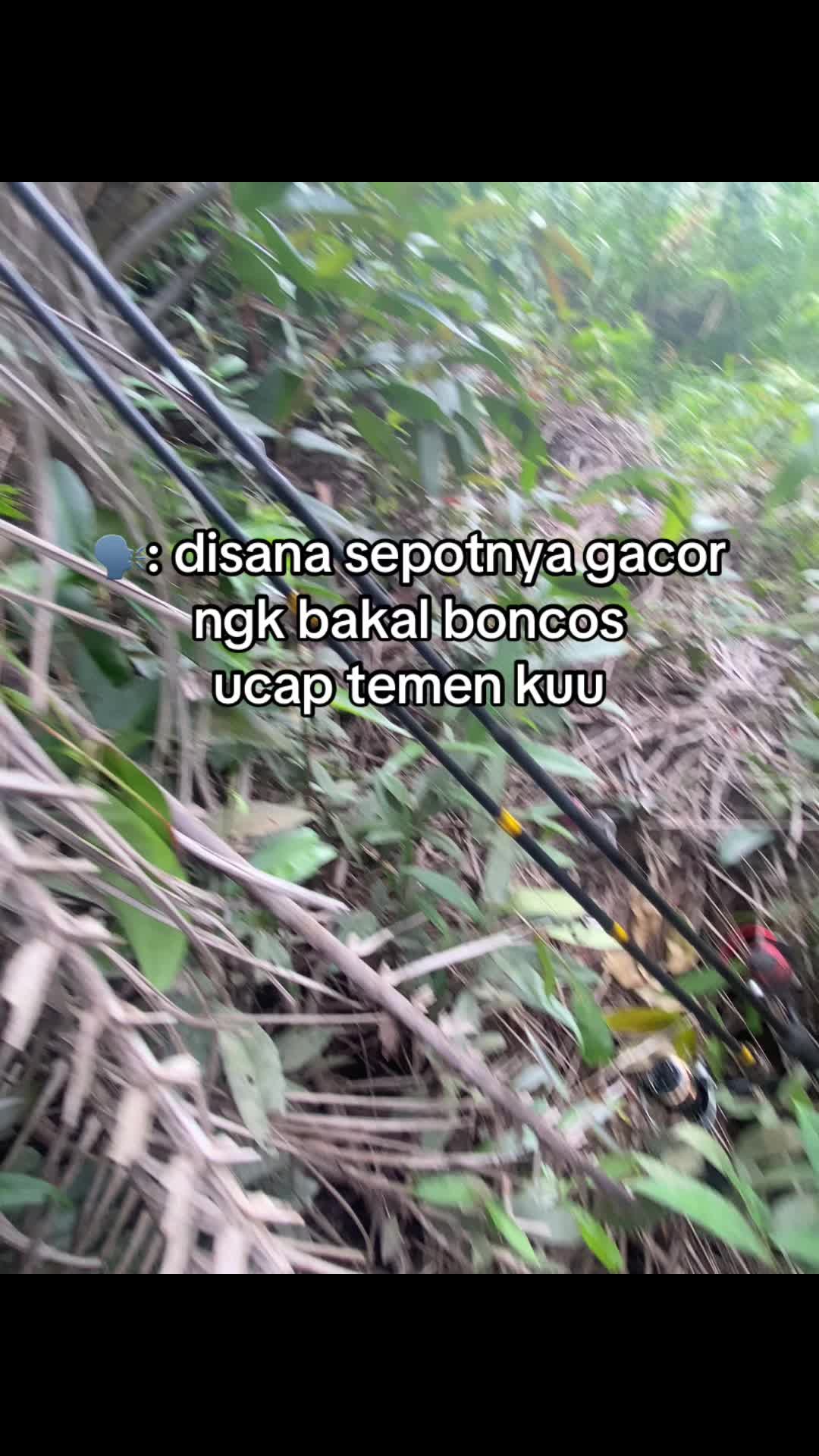 @BAIHAKI