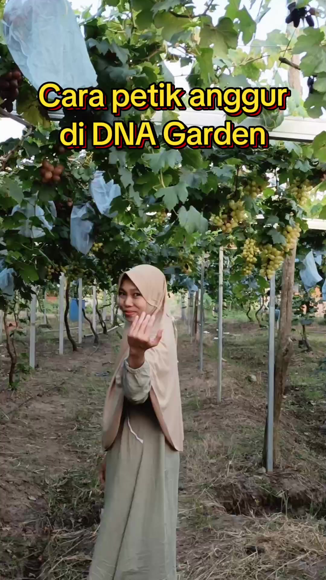@DNA Garden