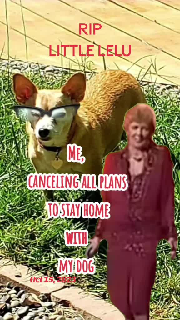 @DebraAnnV